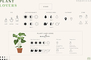 Plant Lovers Collection, a Texture Illustration by Julia Dreams (Thumbnail 7 of 12)