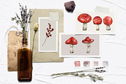 Halloween Watercolor Set, a Seasonal Illustration by BarvArt (Thumbnail 10 of 21)