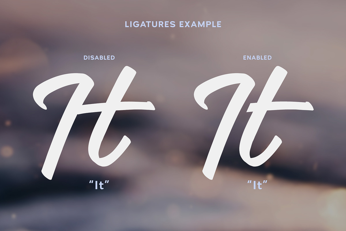 Jensen Luxury Cursive Logo Font preview 5