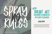 Union Lesson | Graffiti Typeface, a Handwritten Font by Denustudios (Thumbnail 4 of 15)