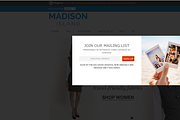 Newsletter Popup by WeltPixel, a Websites & App Template by WeltPixel (Thumbnail 3 of 3)
