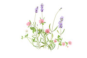 Vector object brushes. Lavender, a Brush Add-On by Peolla (Thumbnail 12 of 13)