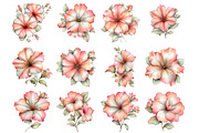 Spring Petunia Flower Clipart, an Illustration by Design Market (Thumbnail 3 of 4)