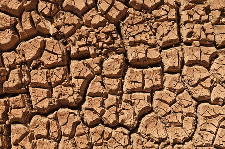 Cracked Mud