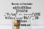 Milk Coffee - Casual Serif Font, a Serif Font by AQR Studio (Thumbnail 4 of 10)