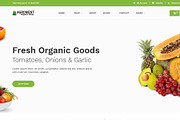 Agroment Organic Food HTML Template, a HTML Template by techboot (Thumbnail 8 of 8)