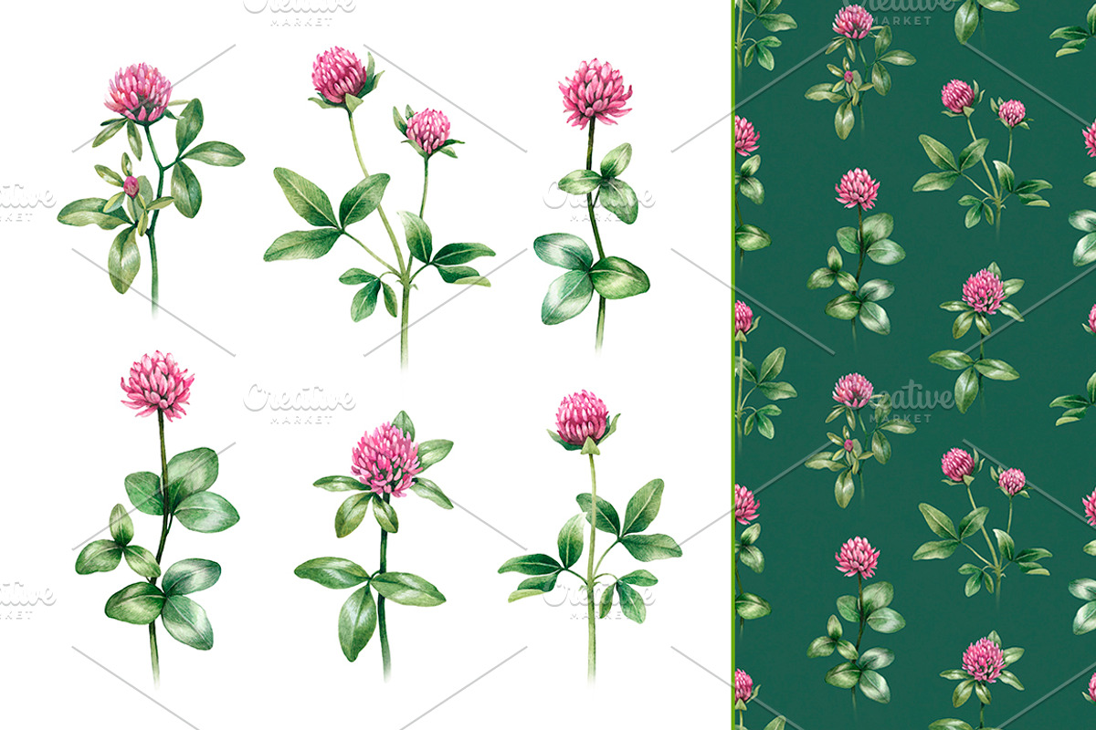Watercolour wild nature, a Pattern Graphic by Sundra (Photo 14 of 19)