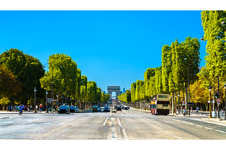 Avenue des Champs Elysees in Paris, an Architecture Photo by Leonid Andronov