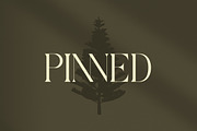 Qaisar Elegant Modern Serif, a Serif Font by timelesstype.co (Thumbnail 6 of 20)