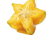 All Fruits Bundle Master Collection, a Food & Drink Photo by FlyeredTemplate (Thumbnail 126 of 130)