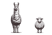 Rustic Farm Animals Vector Coll, an Animal Illustration by MkStudio (Thumbnail 3 of 3)