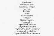 The Positive Sailing Serif (15 Font), a Serif Font by Positive TypeFoundry (Thumbnail 5 of 19)