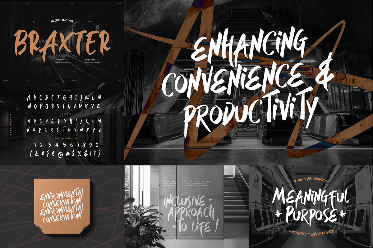 Brush Script Modern Typeface Font, a Sans Serif Font by Catalystco Studio (Photo 8 of 11)