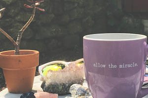 Coffe Mug, Crystals, Succulent