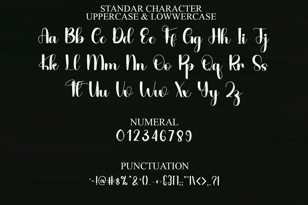 Thick, a Script Font by FreshTypeINK (Photo 8 of 8)