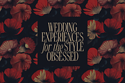 SALE! Golden Tales Serif Collection, a Serif Font by VP Fonts (Thumbnail 13 of 23)