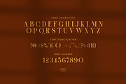 Vioner Elegant Luxury Serif Font, a Serif Font by Graphicxell (Thumbnail 7 of 8)
