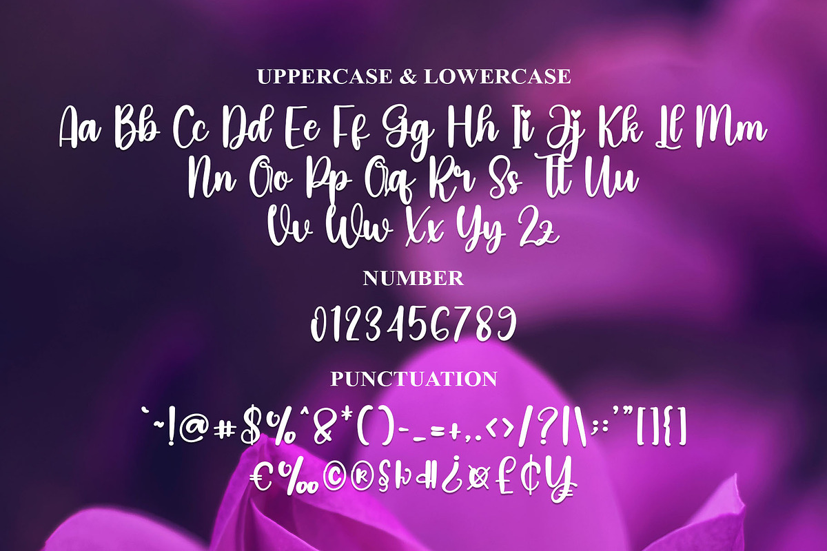 Birthday, a Script Font by FreshTypeINK (Photo 7 of 8)