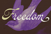 Jardim Botânico, a Script Font by Misprinted Type (Thumbnail 6 of 9)