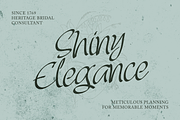 Blomag Oakland Elegantly Font, a Handwritten Font by Black Junst (Thumbnail 13 of 13)