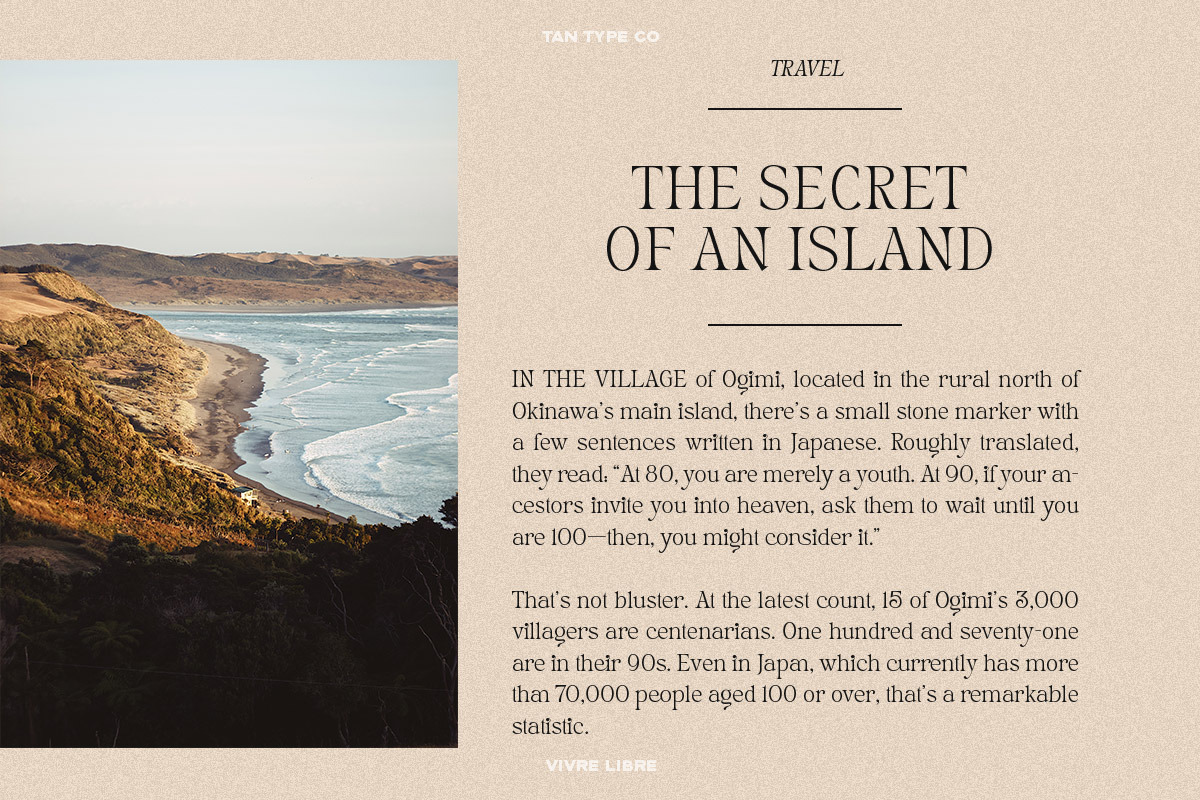 TAN - VIVRE LIBRE, a Serif Font by TanType (Photo 5 of 17)