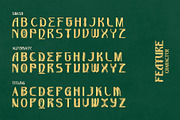 Orkaviel – Decorative Serif Font, a Serif Font by Letterara (Thumbnail 11 of 14)