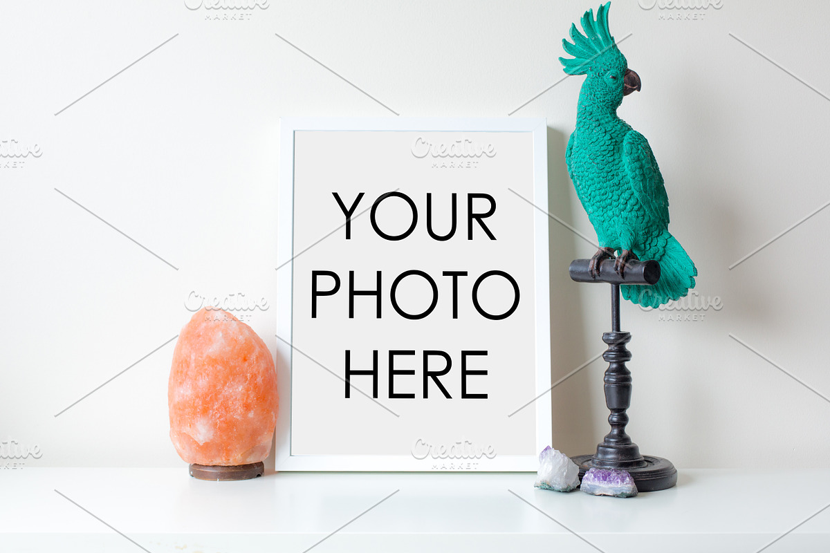 White Frame With Parrot & Salt Lamp, a Print Template by F R A M E D // SUPPLY CO.