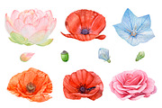 20%OFF! Watercolor Romantic Flowers, an Illustration by Katya Zlobina (Thumbnail 6 of 6)