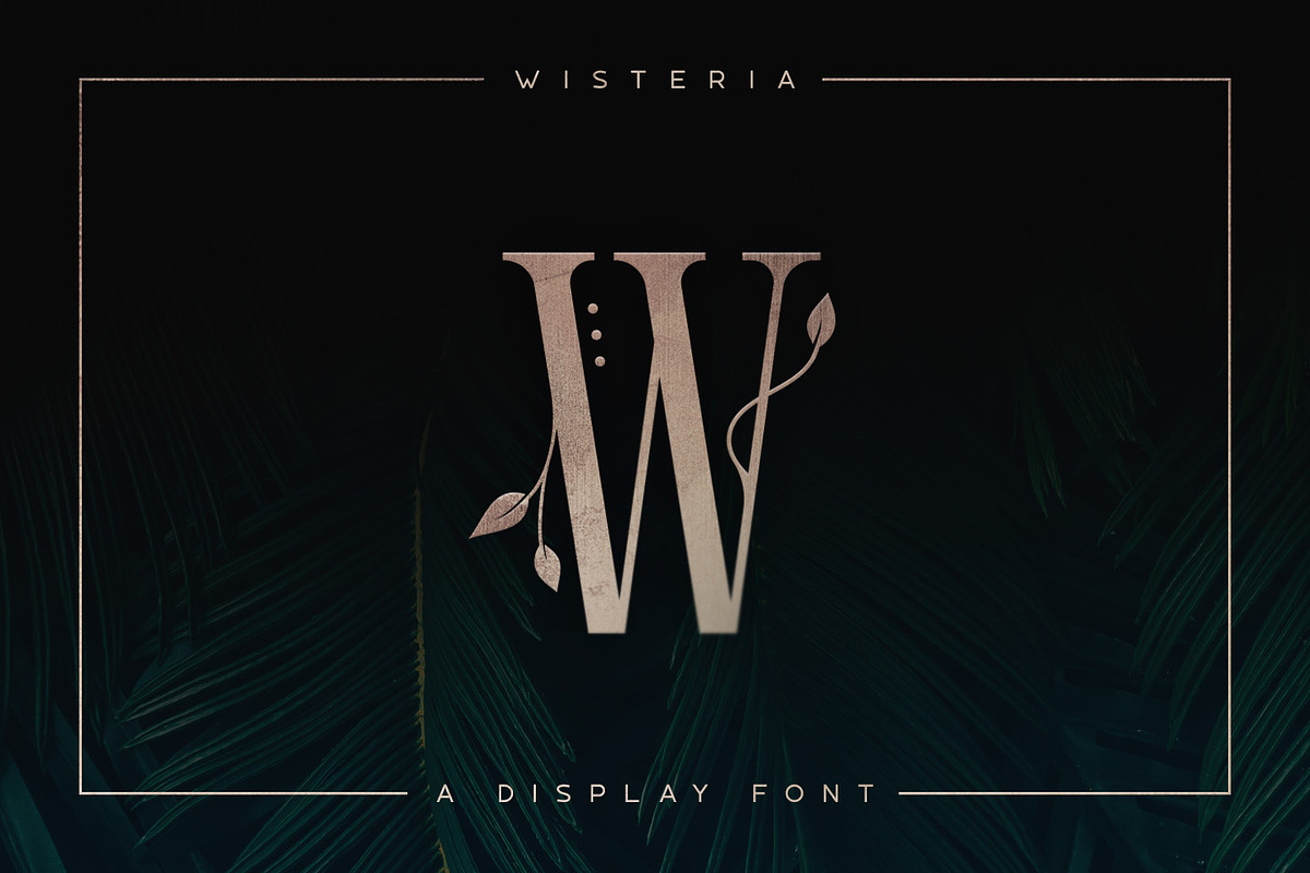 Wisteria • Display Font