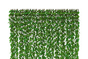 Wall of vines, an Environmental 3D Model by AndrewWhite (Thumbnail 4 of 5)