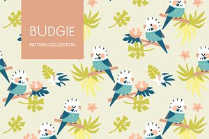 Budgie