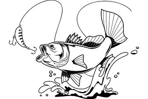 Bass Fish Cartoon Character Jumping