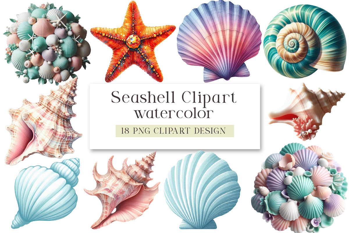 Seashell Clipart, an Illustration by DreamArtGraphic (Photo 1 of 3)