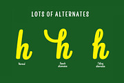 Snooker Script & Sans, a Script Font by Fenotype (Thumbnail 3 of 7)