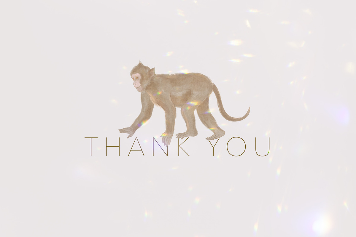 Jungle Book Seamless Patterns, a Pattern Graphic by mila_leev (Photo 9 of 9)