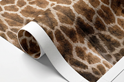 Photorealistic Animal Fur, an Animal Photo by PopotLane (Thumbnail 6 of 10)