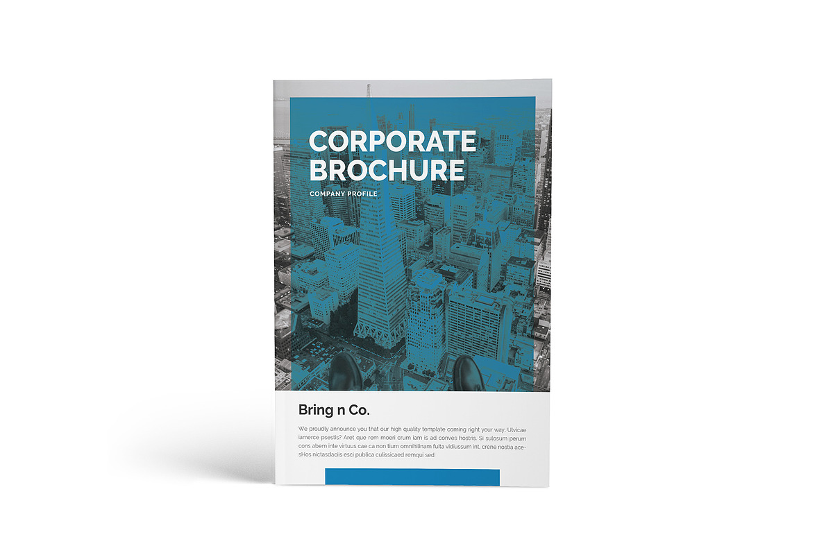 Bring N Co - A4 Corporate Brochure, a Brochure Template by Incools Stokie (Photo 1 of 13)