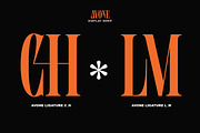 Agitton - Ligature Serif, a Serif Font by Luna Shop (Thumbnail 4 of 6)