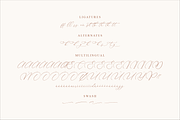 Madyntha Geradine Chic Calligraphy, a Script Font by Storytype Studio (Thumbnail 14 of 15)