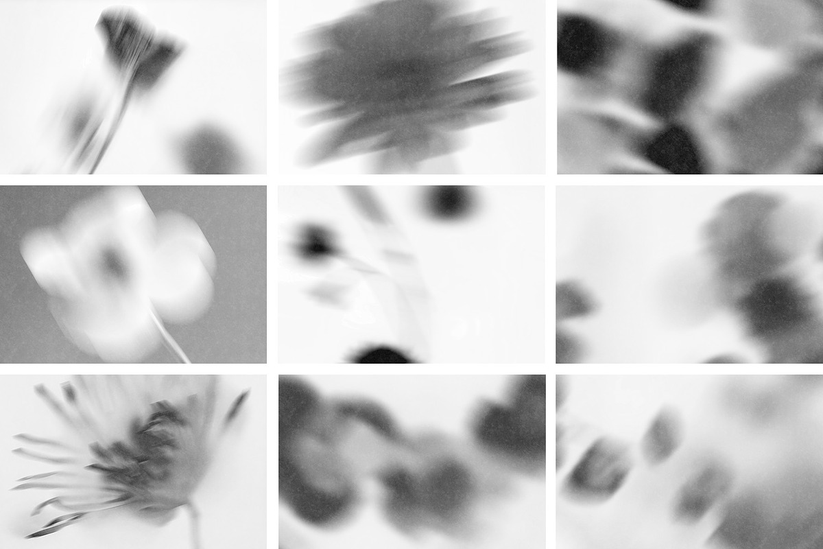 The Blurry Flowers, a Background Graphic by NKate (Photo 13 of 14)