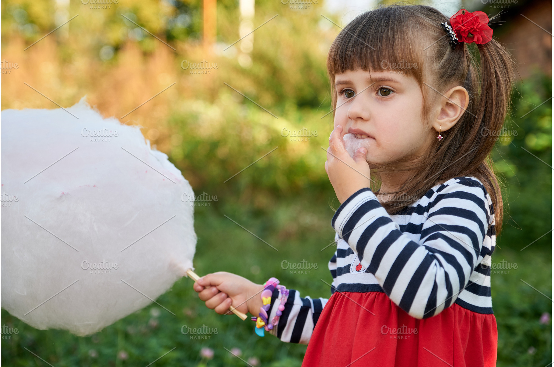 Close-up portrait with sweet cotton, a Nature Photo by Rohan Photography