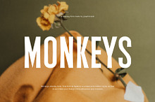 Monkeys Handwritten Sans Font