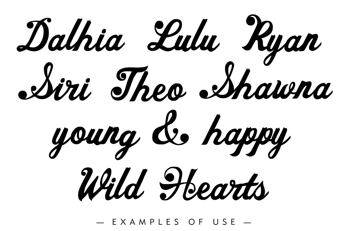 Sassafrass Font, a Font by shawnanonna (Photo 2 of 5)