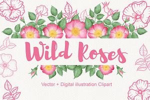 Wild Rose Clipart Rose Hip