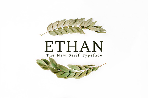Ethan Serif 8 Font Family Pack preview 6