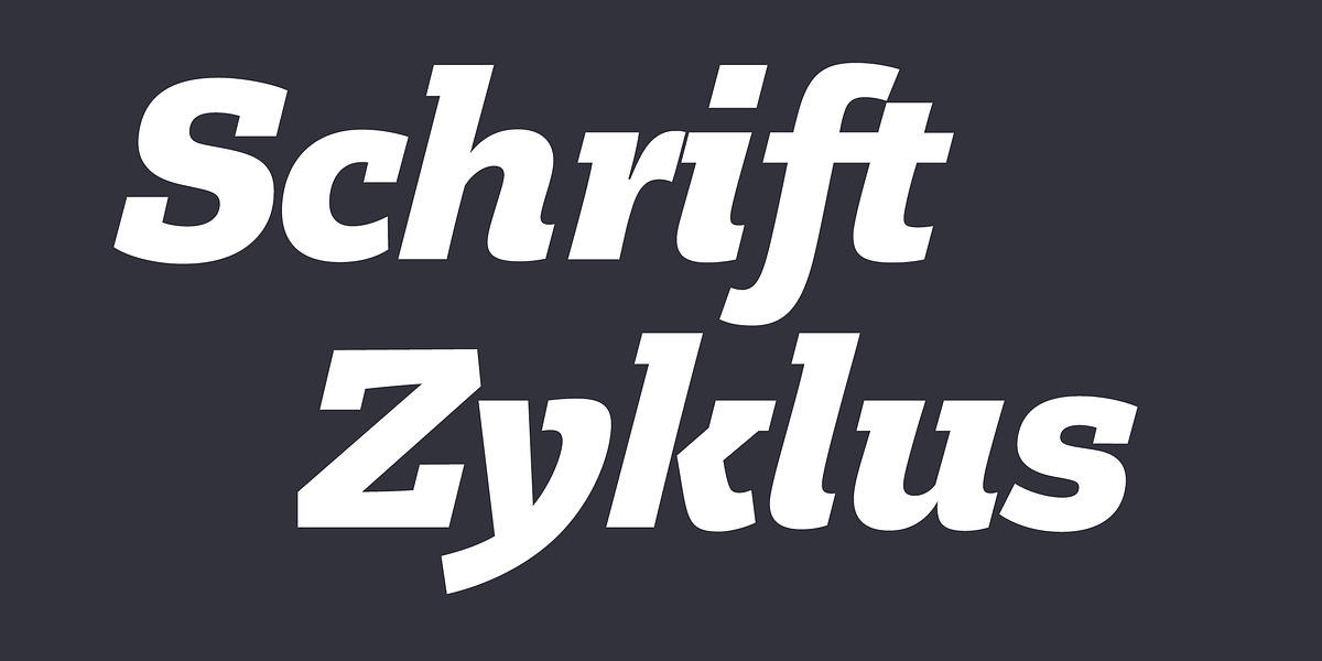 Legit Slab, a Slab Serif Font by Finaltype (Photo 6 of 12)