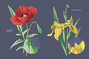 Vintage Flowers Vol.03 - Extra Large, an Illustration by Greta Ivy (Thumbnail 9 of 15)