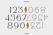 TAN - GARLAND, a Serif Font by TanType (Thumbnail 9 of 16)