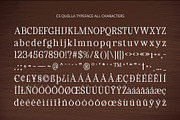 CS Quella – Contemporary Font, a Serif Font by Craft Supply Co. (Thumbnail 8 of 8)