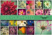 iseeyouphoto SUPAFLORA